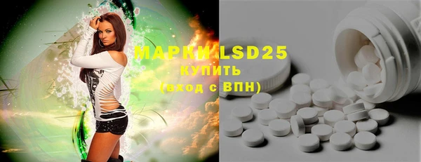 mdpv Каменка