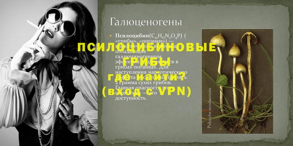mdpv Каменка