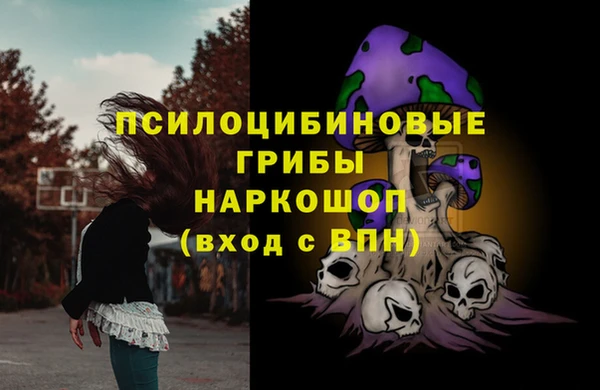 mdpv Каменка
