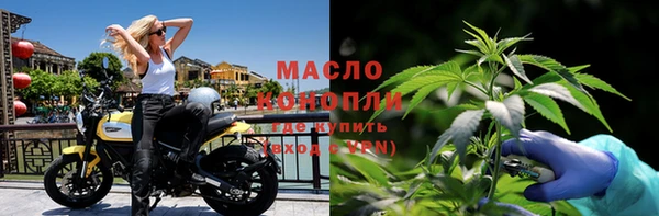 mdpv Каменка