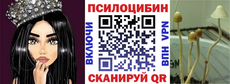 Купить закладки Волчанск Галлюциногенные грибы MAGIC MUSHROOMS